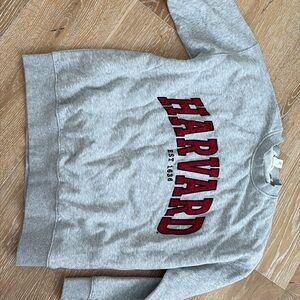 H&M Gray and Red Crew Neck Sweater